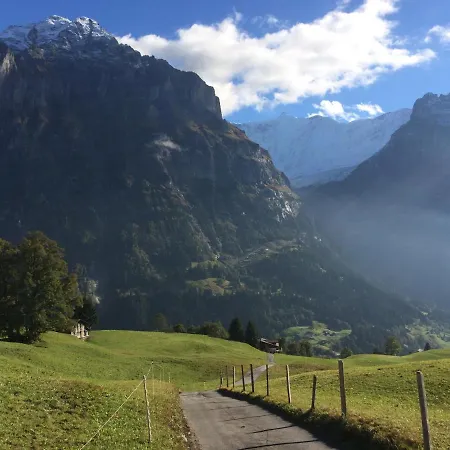 Grindelwald-sunneblick *