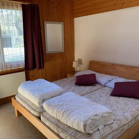Grindelwald-sunneblick Apartment *