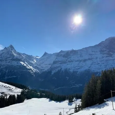 アパート Grindelwald-sunneblick グリンデルヴァルト