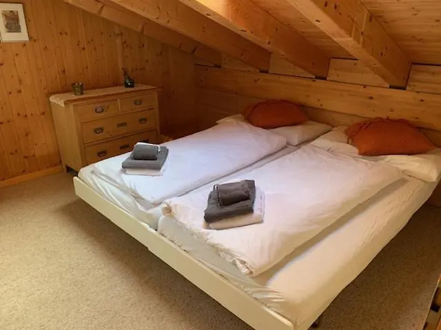 Grindelwald-sunneblick Apartman *