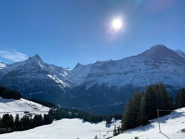 Apartman Grindelwald-sunneblick Grindelwald