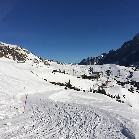 Appartement Grindelwald-sunneblick Grindelwald