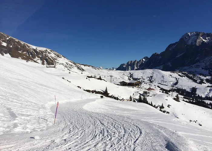 Appartement Grindelwald-sunneblick Grindelwald